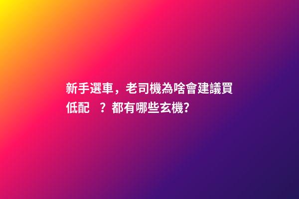 新手選車，老司機為啥會建議買低配？都有哪些玄機？